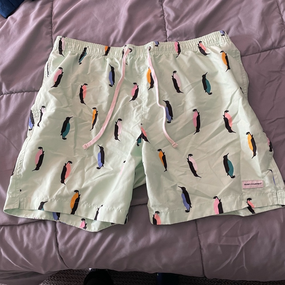 Modern amusement board shorts